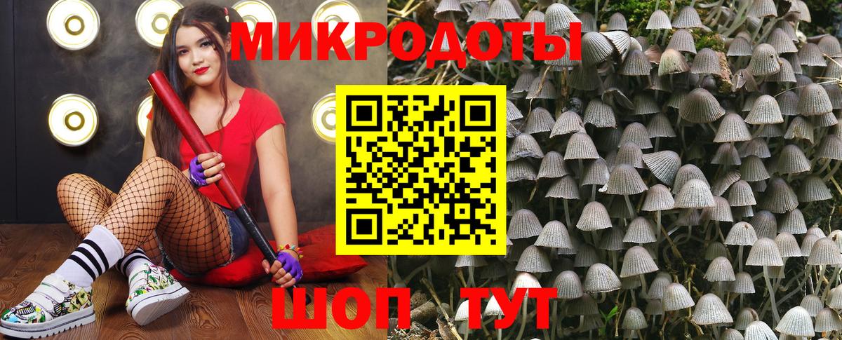 Галлюциногенные грибы ЛСД  Вход с VPN  Приморско-Ахтарск 